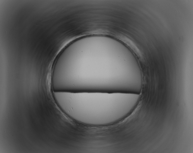 X0000088131228200705140950