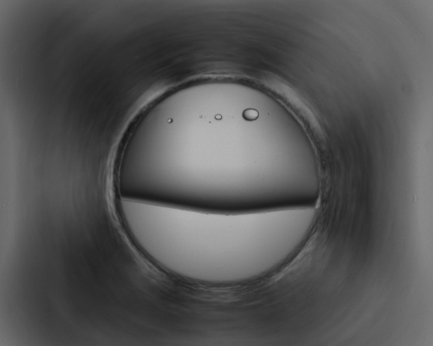 X0000088131229200705140950