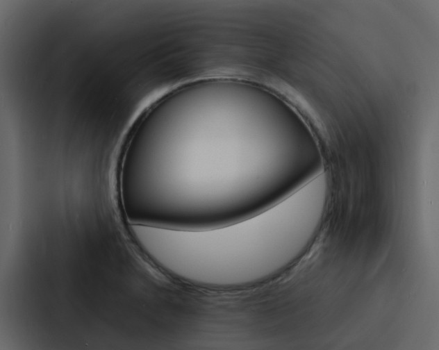 X0000088131230200705140950