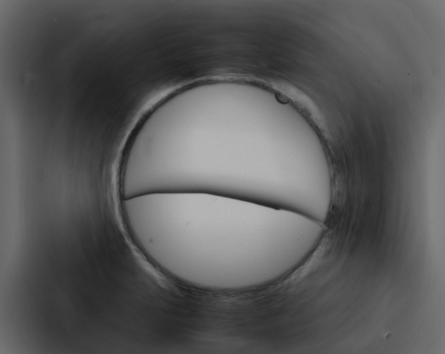 X0000088131231200705140951