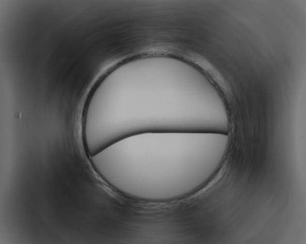 X0000088131232200705140951