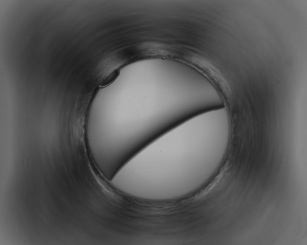 X0000088131233200705140951