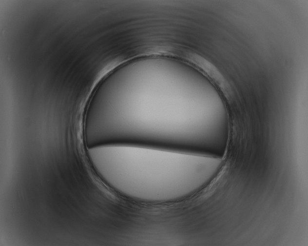 X0000088131234200705140951
