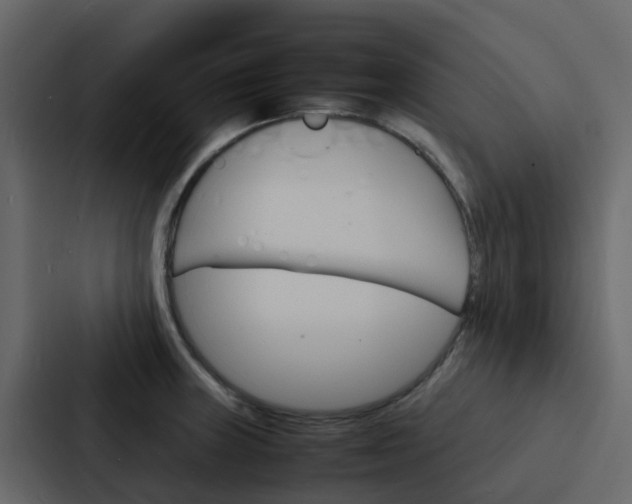 X0000088131235200705140951
