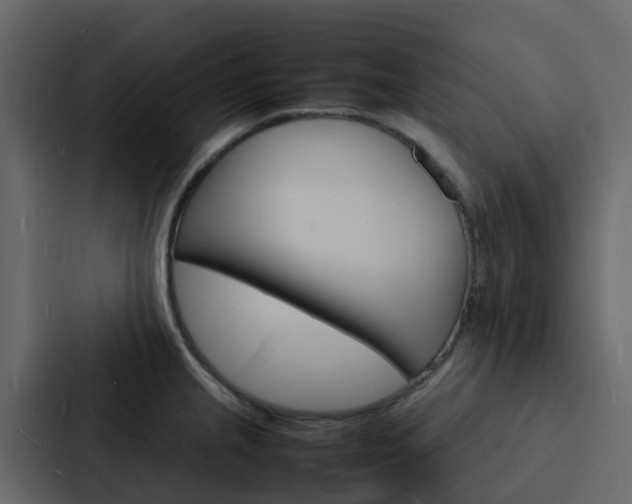 X0000088131237200705140951