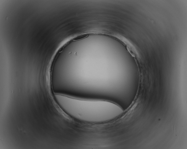 X0000088131238200705140951