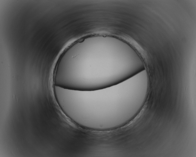 X0000088131240200705140951
