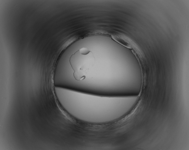 X0000088131241200705140951