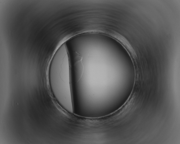 X0000088131242200705140951