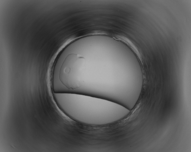 X0000088131243200705140951