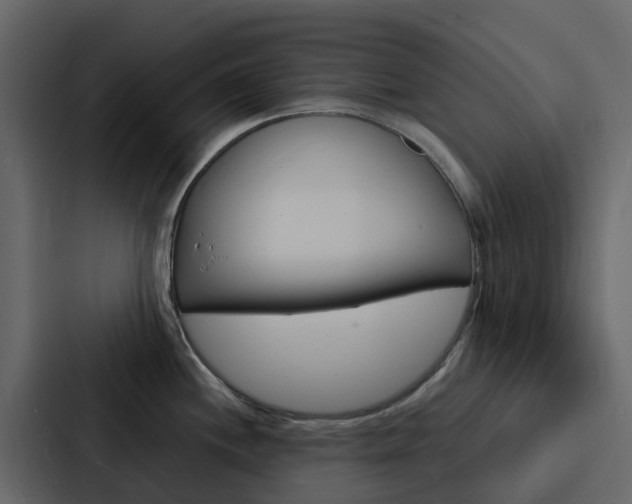 X0000088131244200705140951