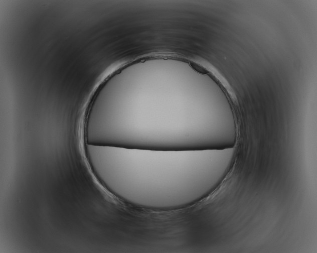 X0000088131245200705140951