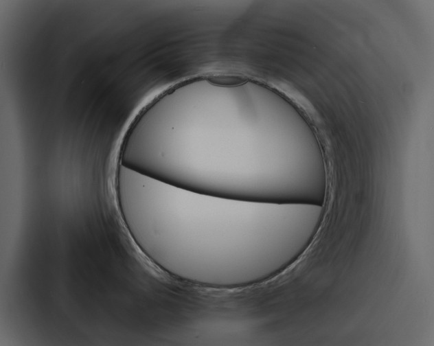 X0000088131248200705140951
