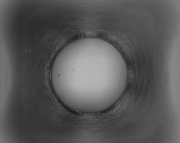 X0000088131249200705140950