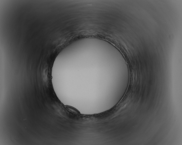 X0000088131250200705140950