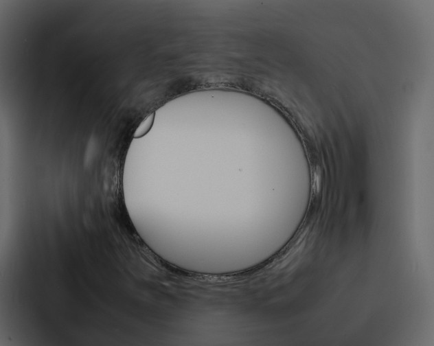 X0000088131251200705140950