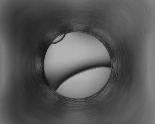 X0000088131252200705140950
