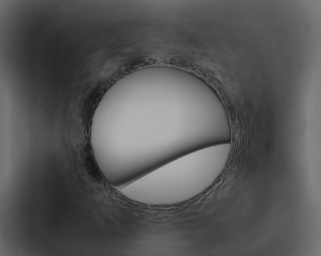 X0000088131253200705140950
