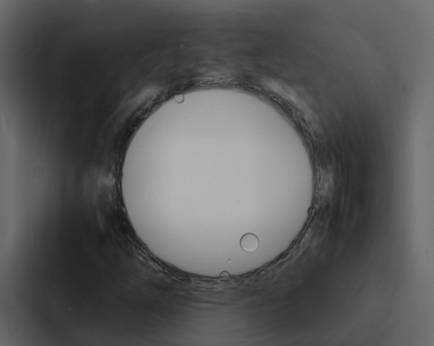 X0000088131254200705140950