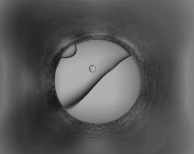 X0000088131255200705140950