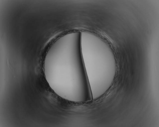X0000088131256200705140950