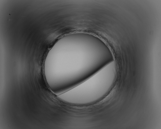 X0000088131257200705140950