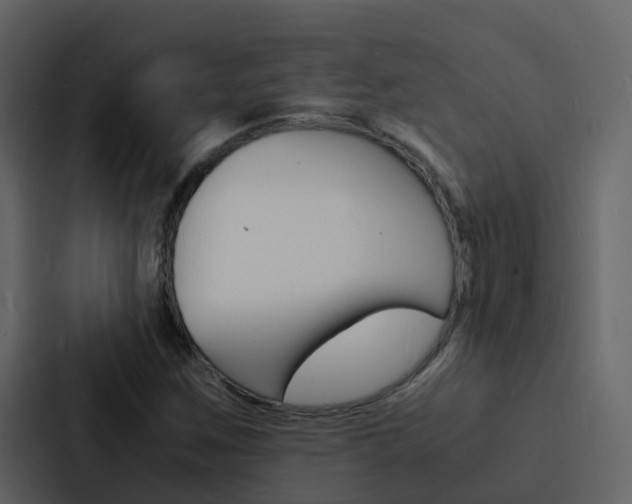 X0000088131259200705140950