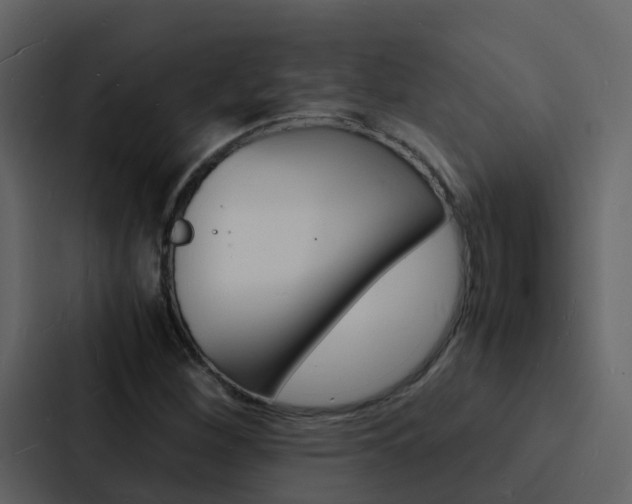 X0000088131260200705140950