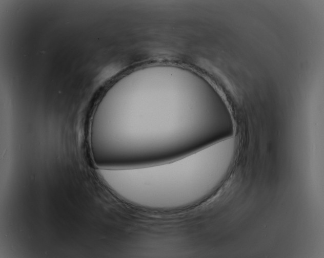 X0000088131261200705140950