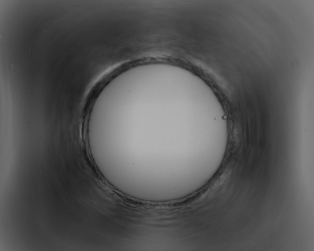 X0000088131262200705140950