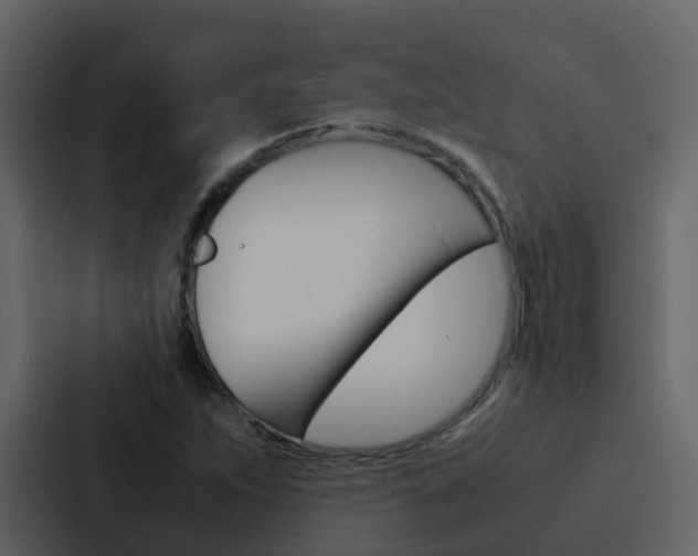 X0000088131263200705140950
