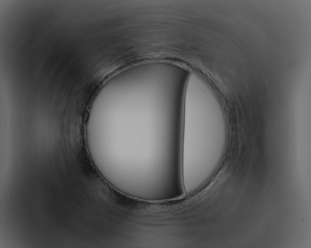X0000088131265200705140950