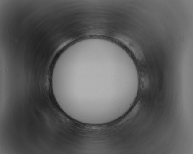 X0000088131266200705140950