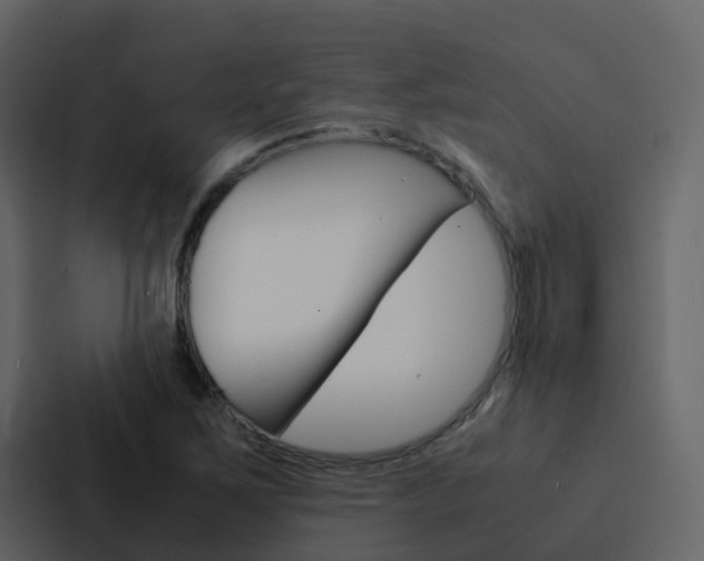 X0000088131267200705140950