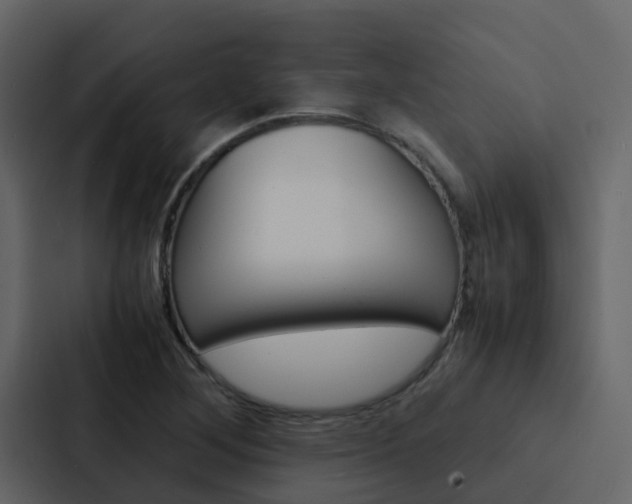 X0000088131268200705140950