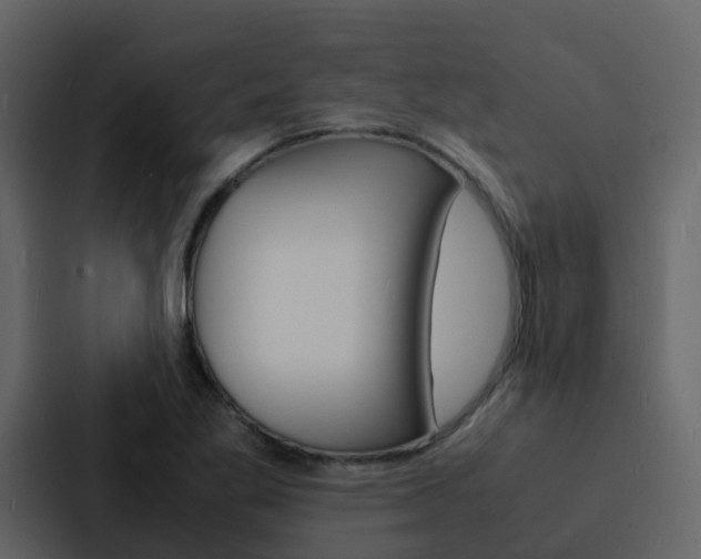 X0000088131269200705140950