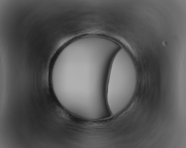 X0000088131270200705140950