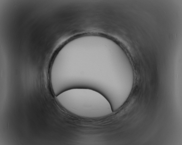 X0000088131271200705140950