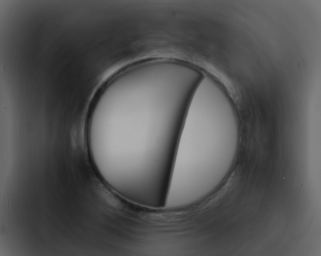 X0000088131272200705140950