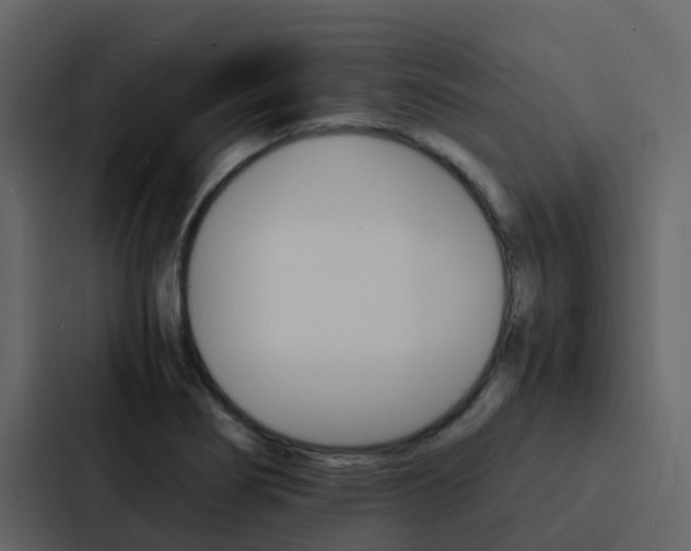 X0000088131274200705140950