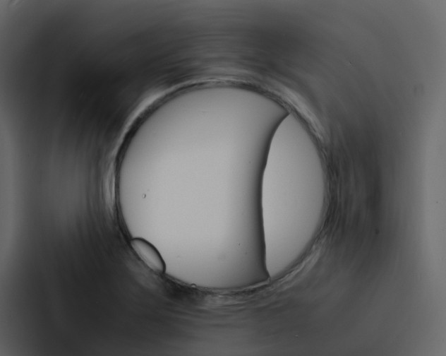X0000088131275200705140950