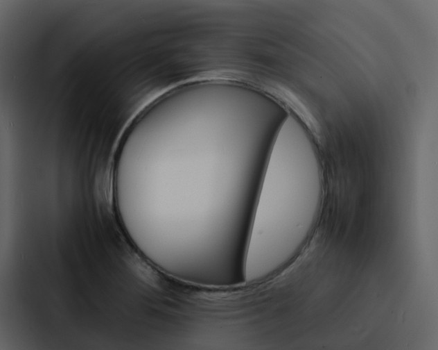 X0000088131276200705140950