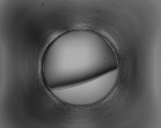 X0000088131277200705140950