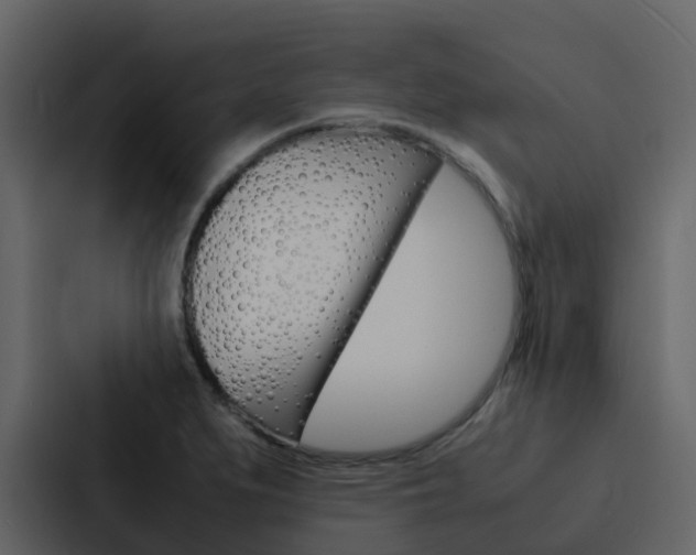 X0000088131279200705140950
