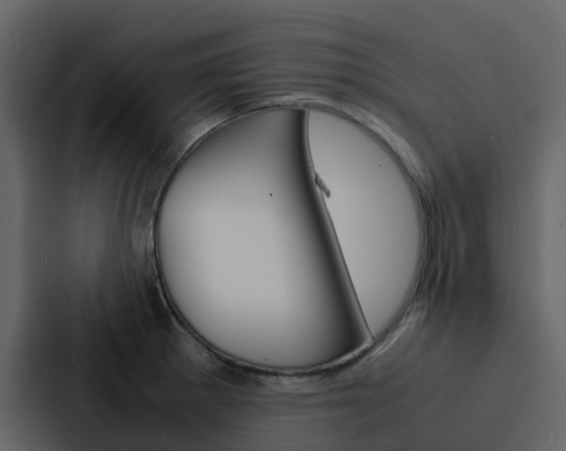 X0000088131281200705140950