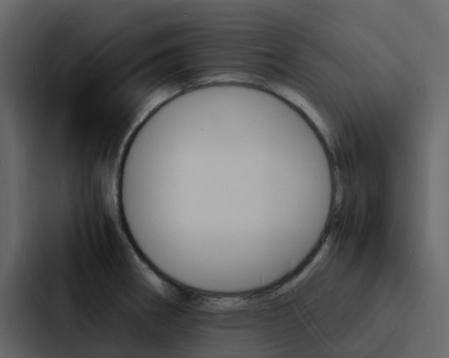 X0000088131282200705140950