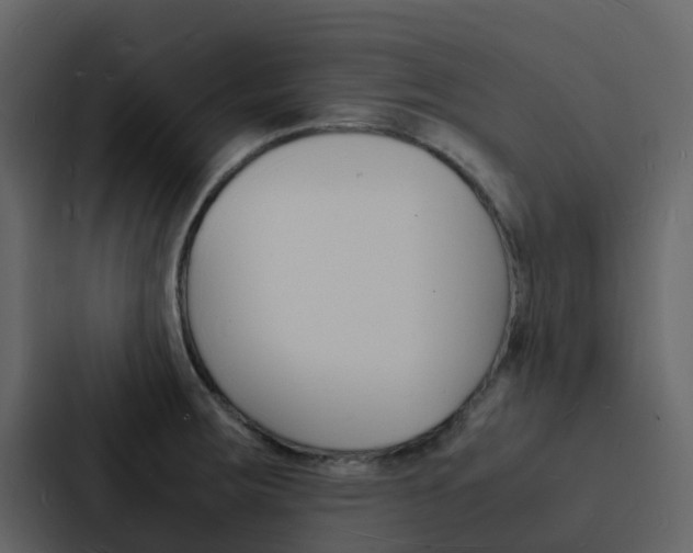 X0000088131283200705140950
