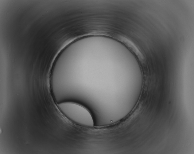 X0000088131284200705140950