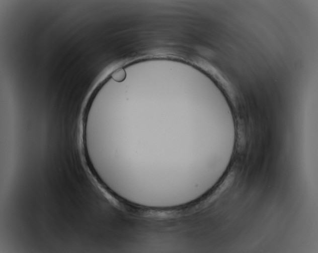 X0000088131286200705140950
