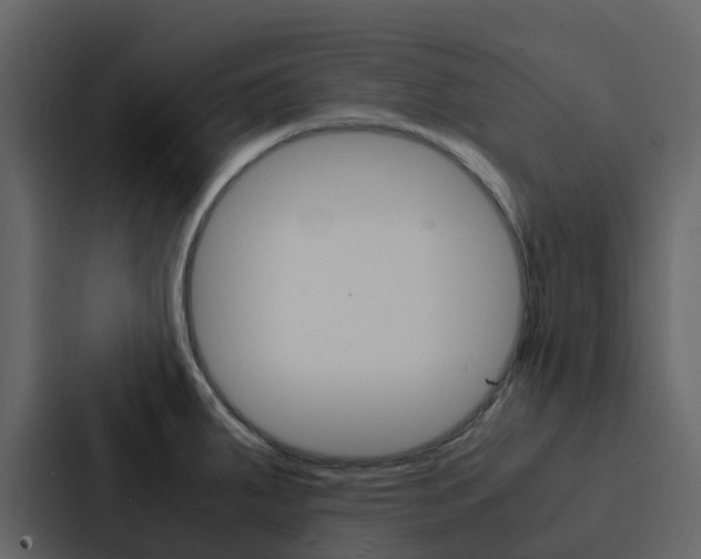 X0000088131287200705140950